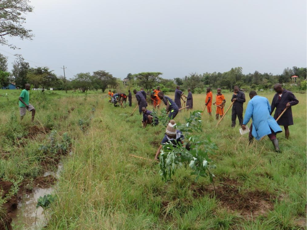 Youth Development Program